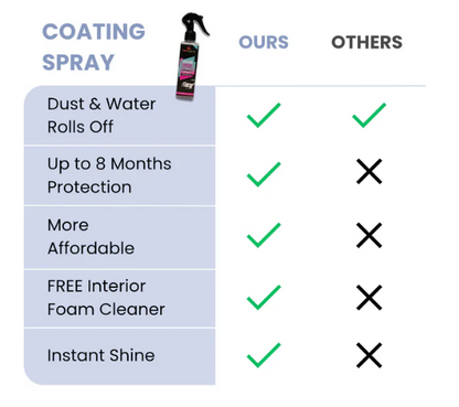Coating Spray and Foam Car Cleaner 200ml (Combo)