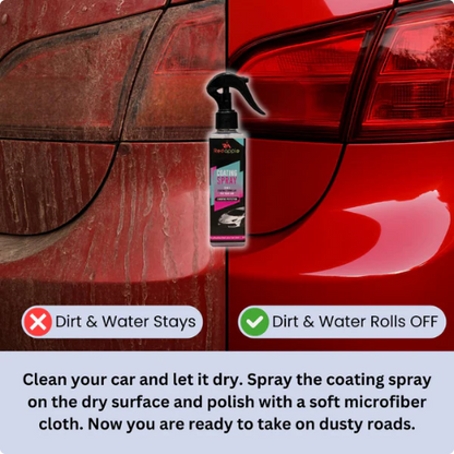 Coating Spray and Foam Car Cleaner 200ml (Combo)